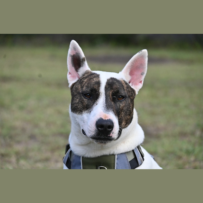 Photo of Gloria