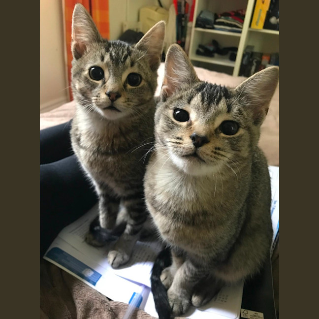 Photo of Billy And Oliver