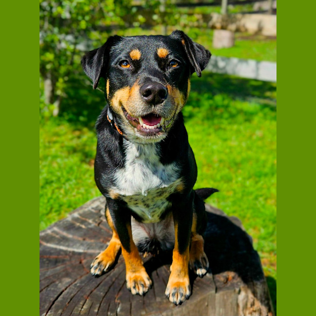 Photo of Kenai
