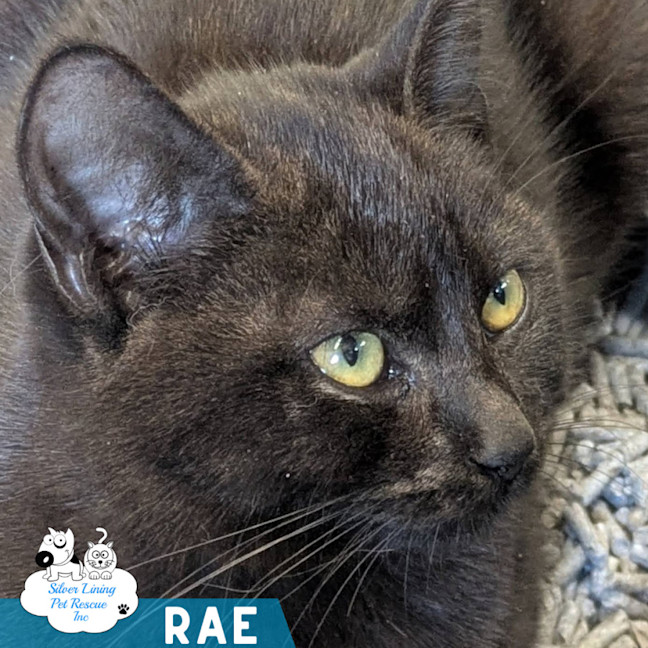 Photo of Rae