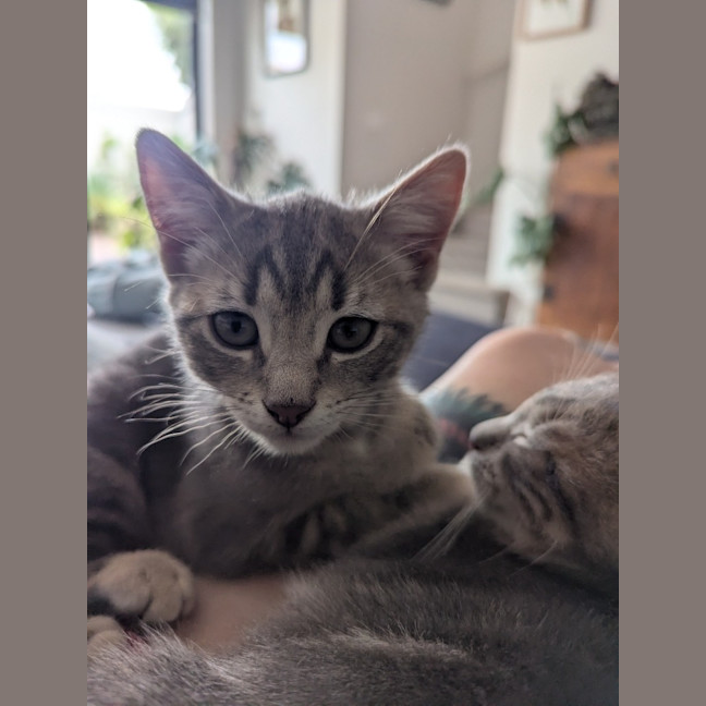 Photo of Maya Scotty