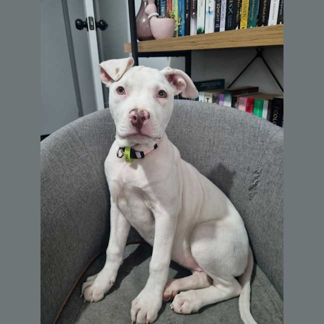 Photo of Winifred (Winnie)