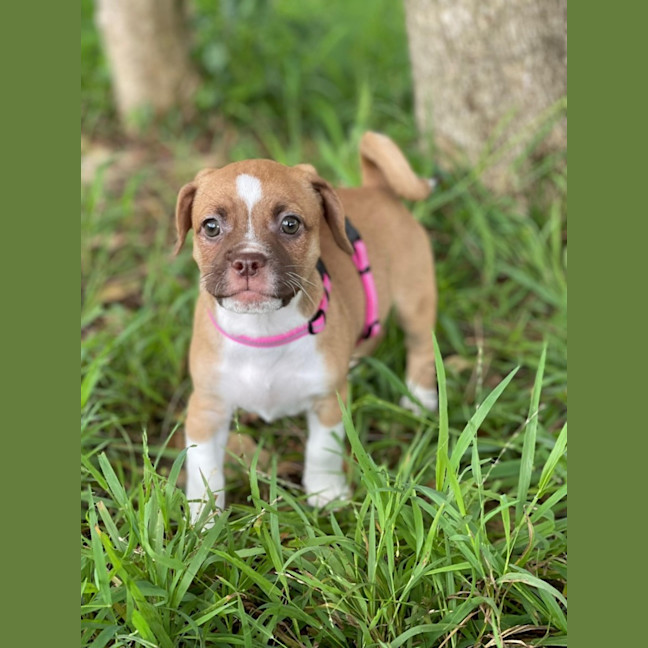 Photo of Kiki