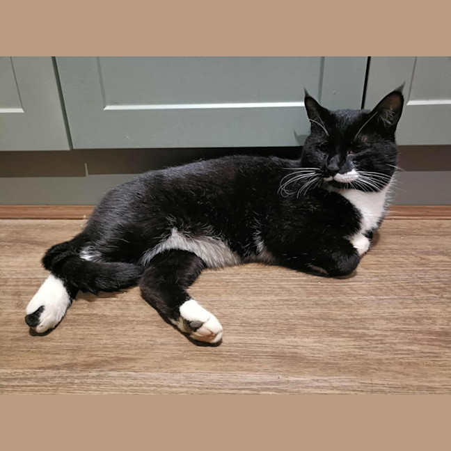 Photo of Mr Moustache