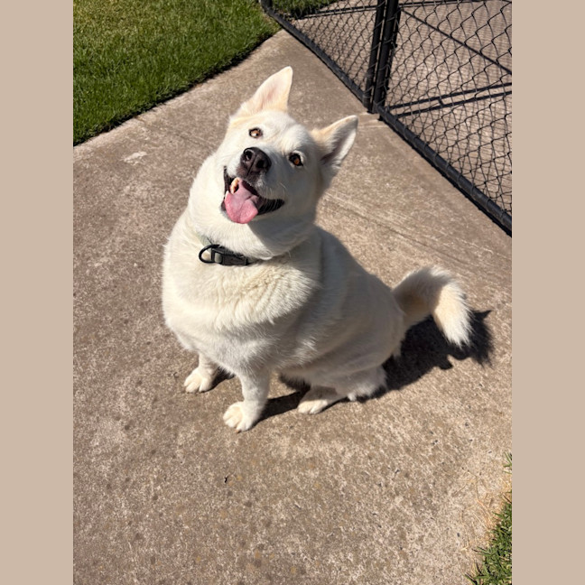 Photo of Mia
