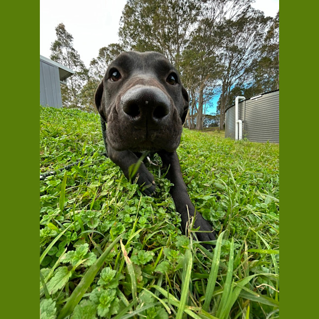 Photo of Sporty Spice