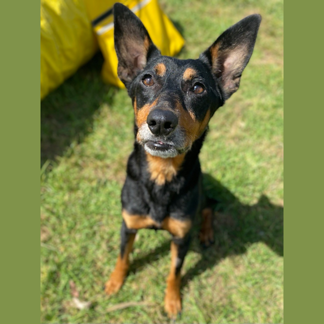 Photo of Sookie