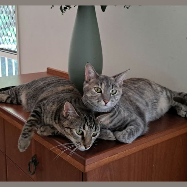 Photo of Maggie And Polly