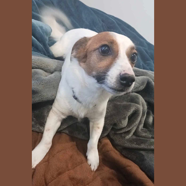 Photo of Otto