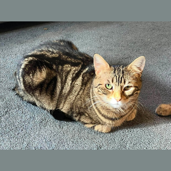 Photo of Sugar