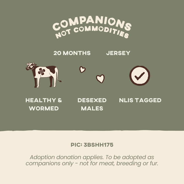 Photo of Daryl, Hank And Oscar