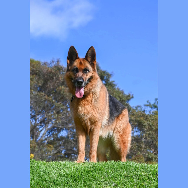 Photo of Ruby