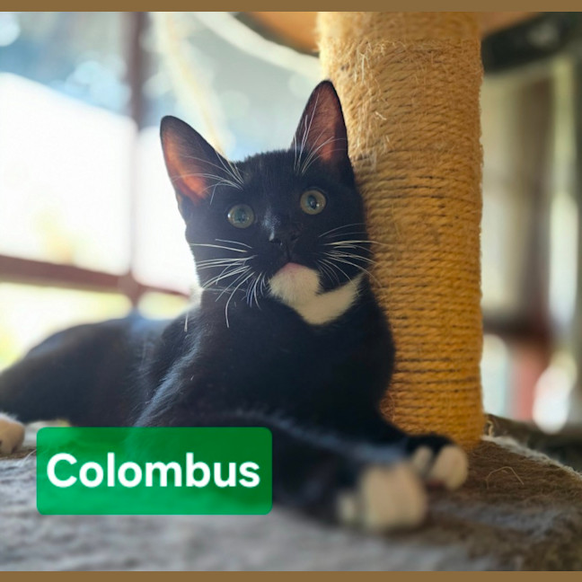 Photo of Colombus