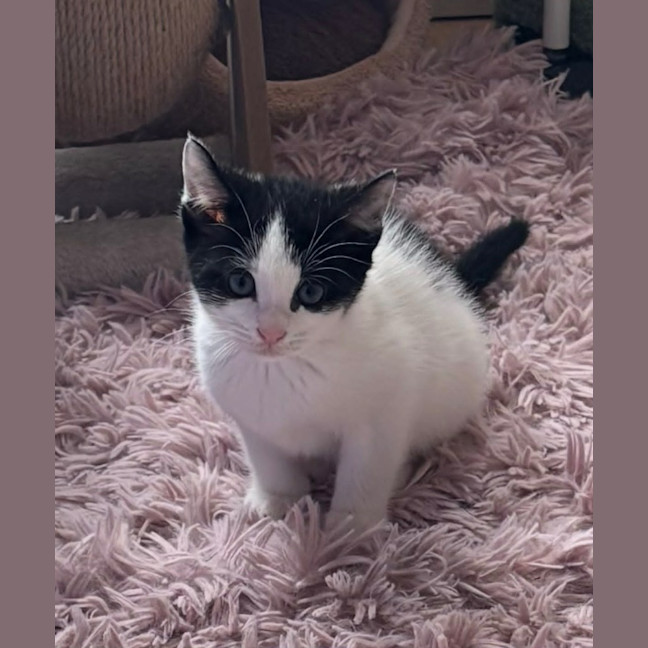 Photo of Maggie