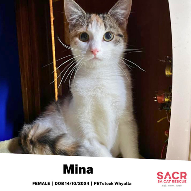 Photo of Mina
