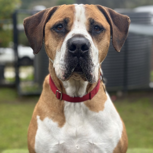 Photo of Ralph