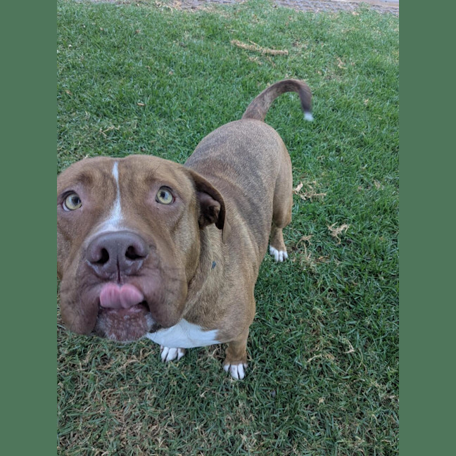 Photo of Maximus