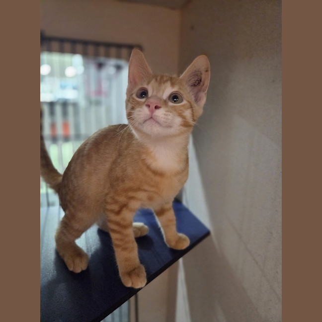 Photo of Felipe