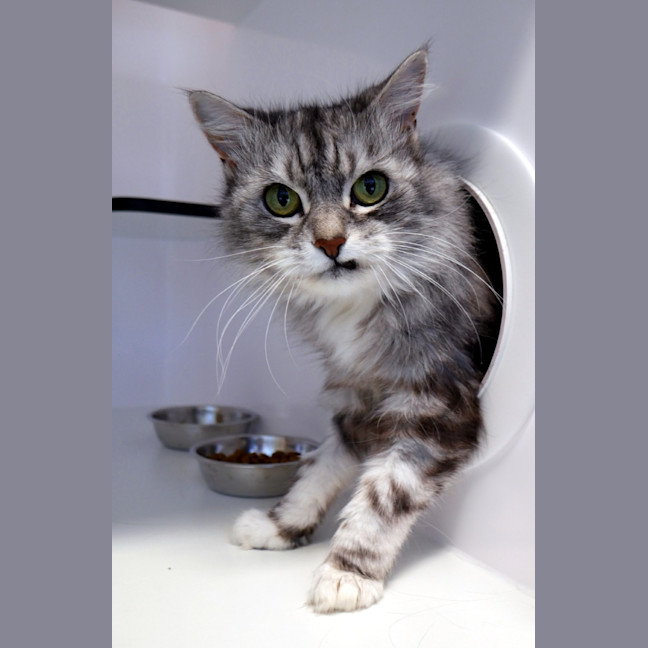 Photo of Mia Sua014521