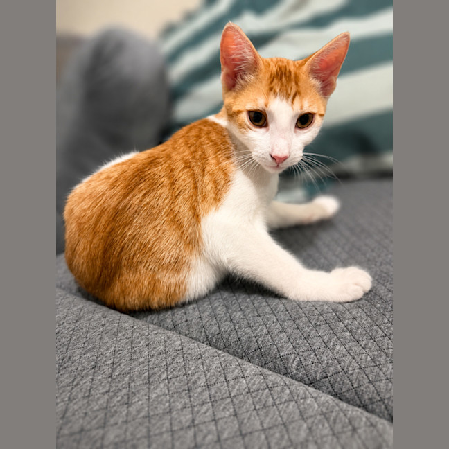 Photo of Bingo