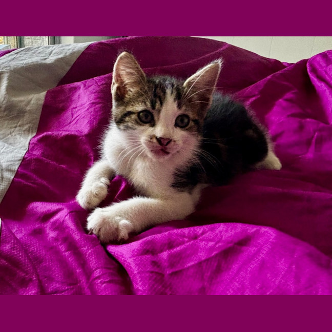 Photo of Maxie