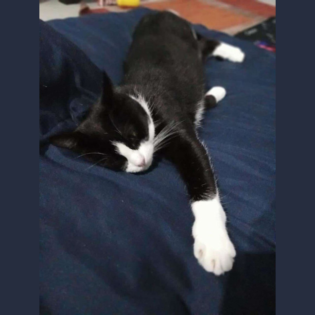Photo of Wilma