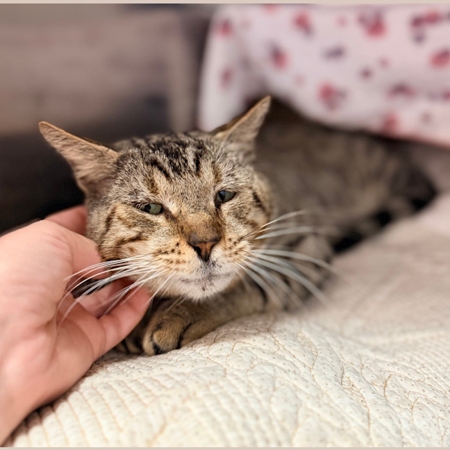 Photo of Bruce Wayne