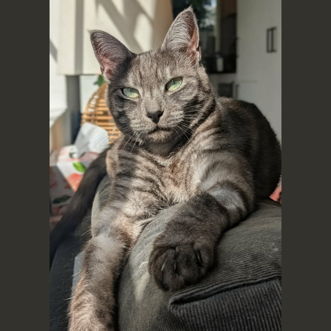 Photo of Smokey 