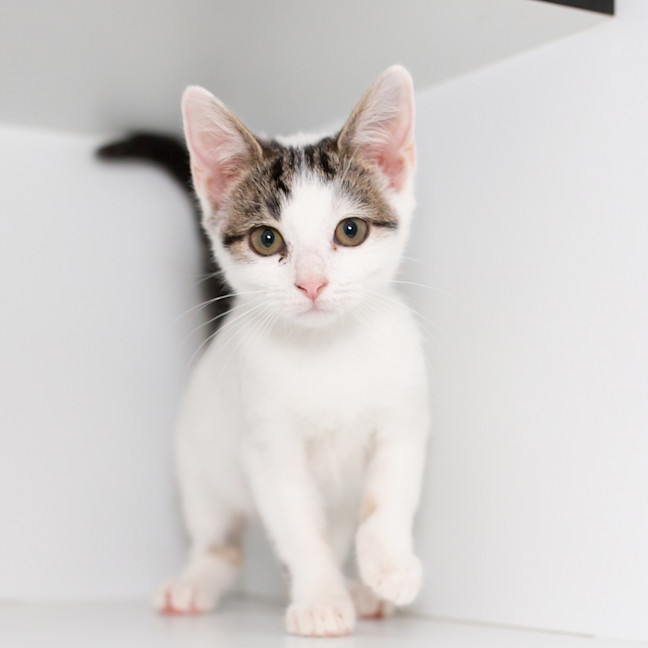 Photo of Pepper June