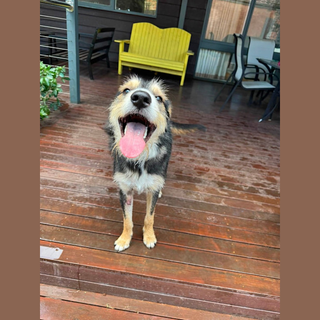 Photo of Artie 