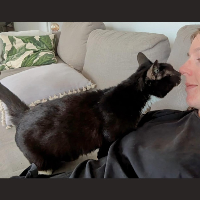 Photo of Stevie Mitts