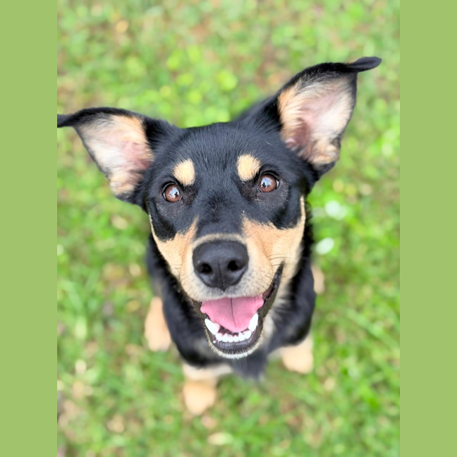 Photo of Kaia