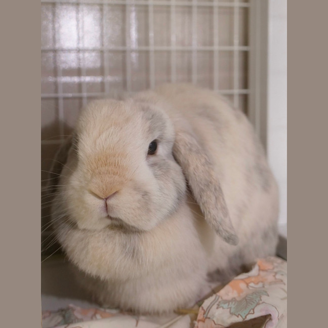 Photo of Harlow & Quinn