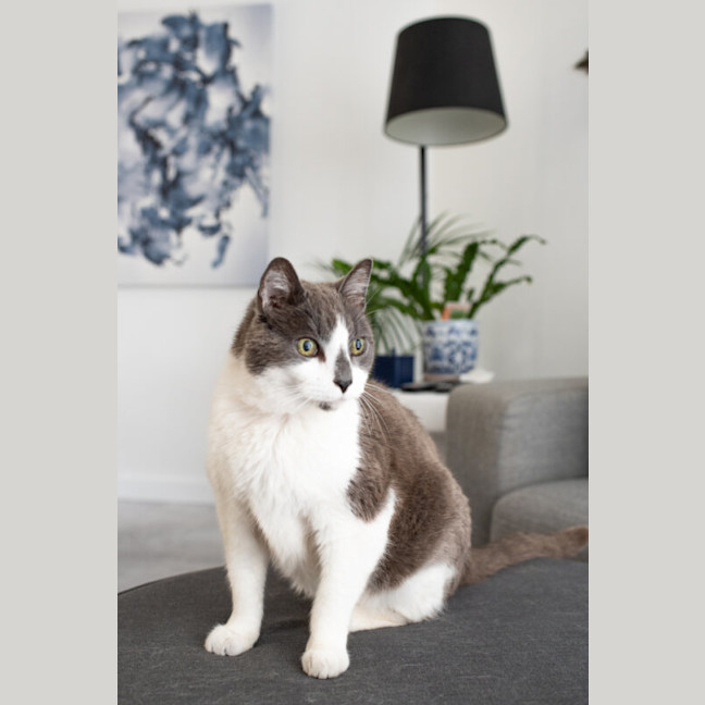 Photo of Benny