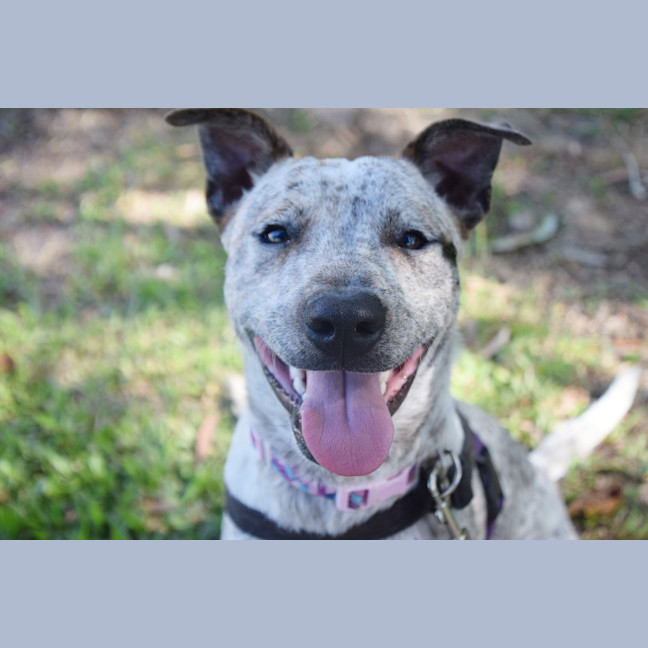 Photo of Turbo