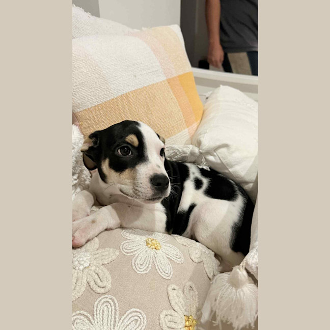 Photo of Novalie (P12)