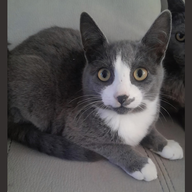 Photo of Jinx