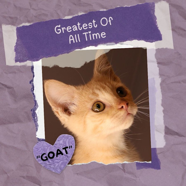 Photo of G.O.A.T.
