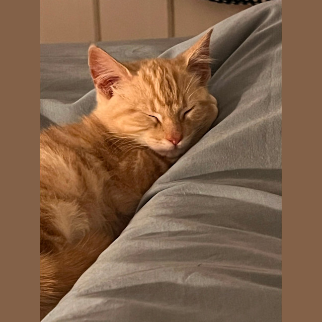 Photo of Monty