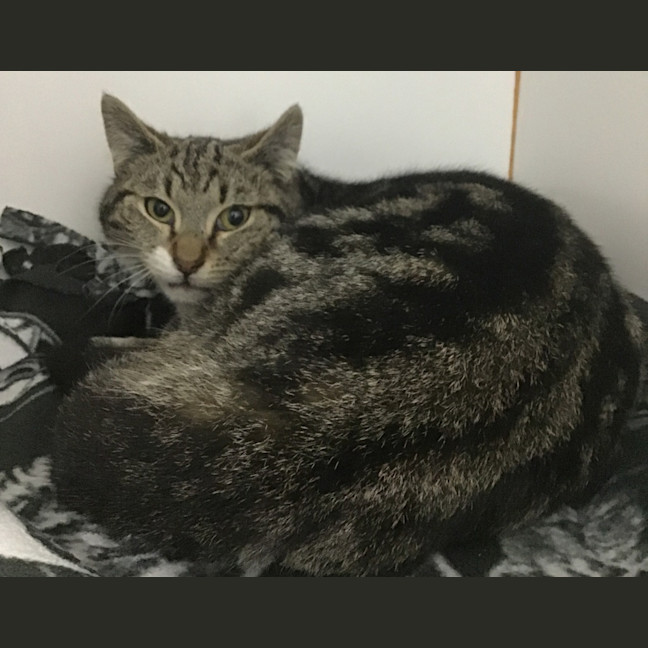 Photo of Artemis