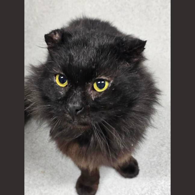 Photo of 🎣 Greg 6702 🎣