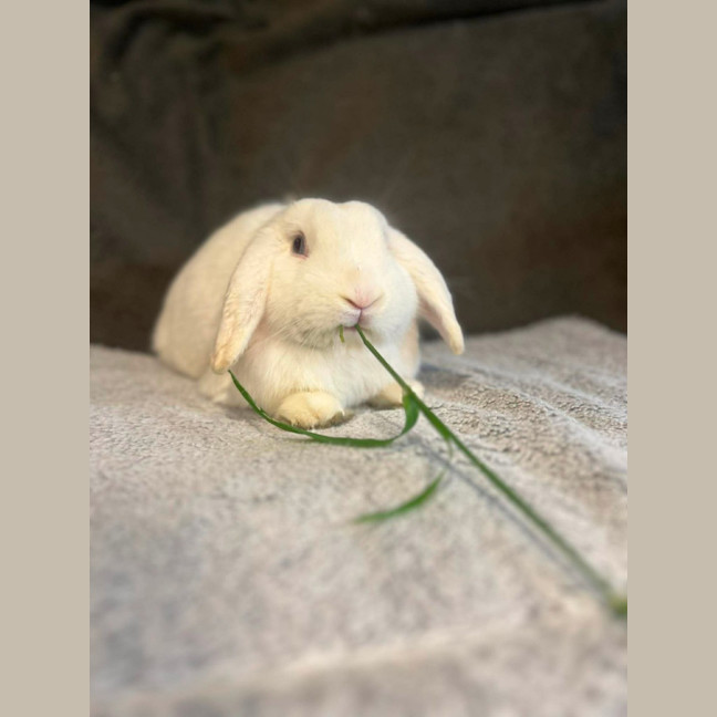 Photo of Thelmo