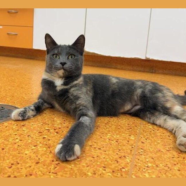 Photo of Maybelle