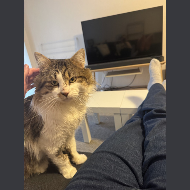 Photo of Ash 