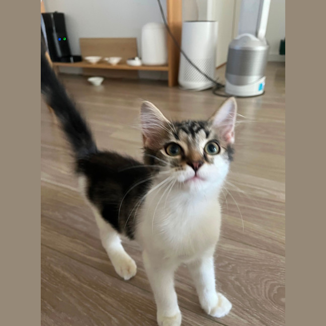 Photo of Minty 
