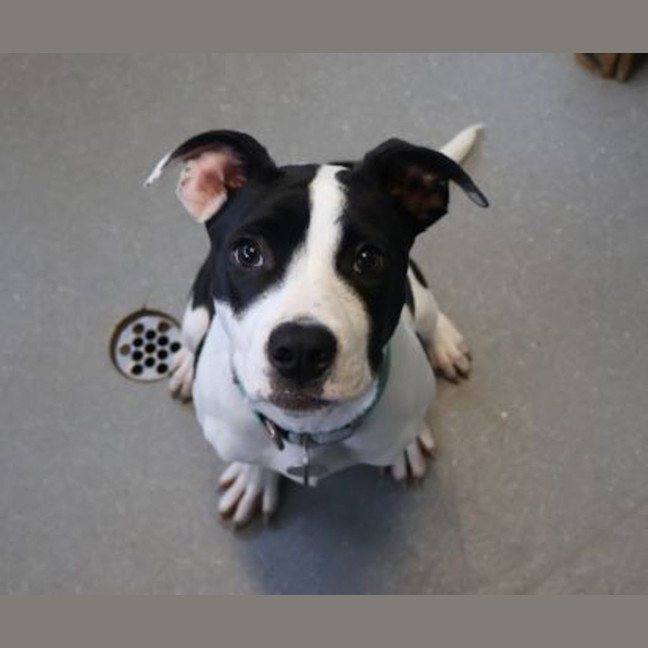 Photo of Penelope 