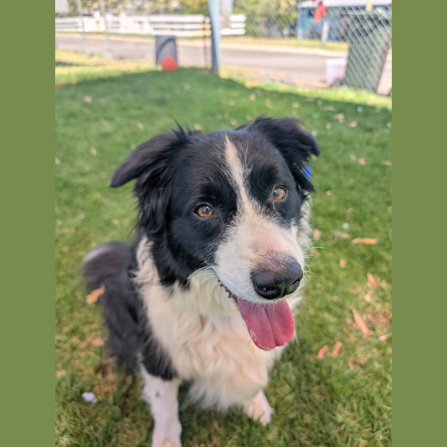 Photo of Misty