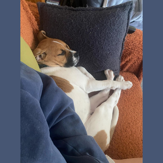Photo of Freyja