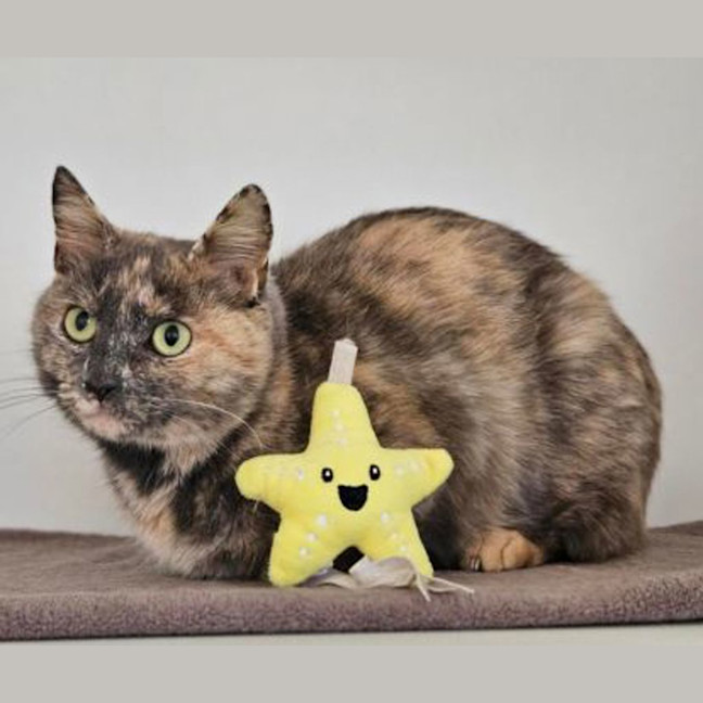 Photo of Tallulah