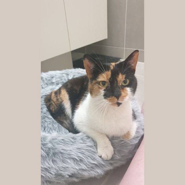 Photo of Queen Mimmi